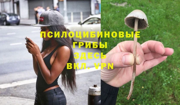 кокаин Вяземский